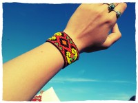 20130510_185336_CHAMELEON_2