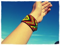 20130510_185340_CHAMELEON_2