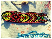 20130510_192910_CHAMELEON_2