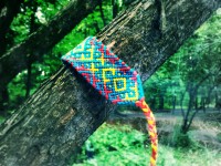 20130517_184524_Tony_Scratches