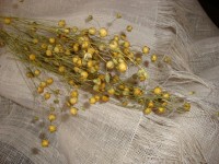 il_570xN.595476907_e6qf