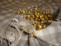 il_570xN.600983004_og26