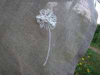 il_570xN.637200049_jy3j