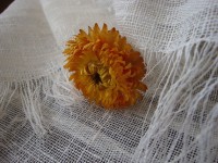 il_570xN.667625302_g11w