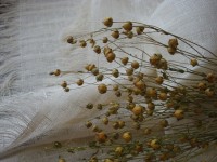 il_570xN.667645590_he8z