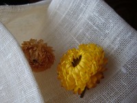 il_570xN.667753073_b2ye