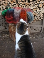 il_570xN.682815205_gdsg