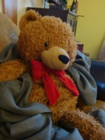 il_570xN.691257518_g6vy