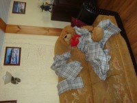 il_570xN.691419779_ldym