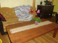 il_570xN.692684733_bc2u