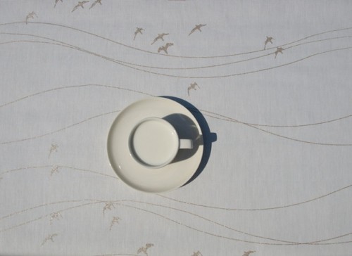 ??????????????????????