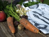 il_fullxfull.373530442_f5pm