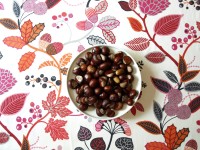 il_fullxfull.381846461_bx1j