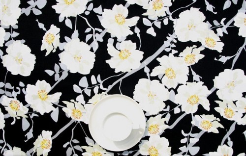 ??????????????????????