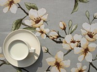 ???????????????????????????????