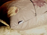 ??????????????????????