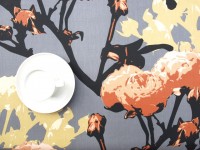 ??????????????????????