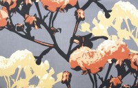 ??????????????????????