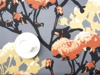 ??????????????????????