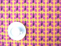 ??????????????????????