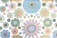 ??????????????????????