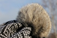 il_fullxfull.556220311_bhde