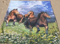 ???????????????????????????????