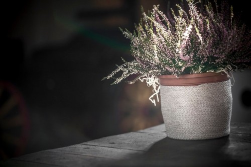 il_fullxfull.591110585_8z5q