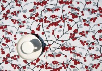 ??????????????????????