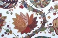 ??????????????????????