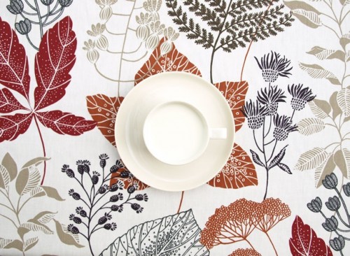 ??????????????????????