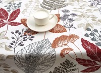 ??????????????????????