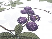 ???????????????????????????????