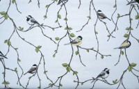 ???????????????????????????????