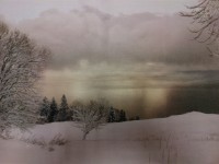 il_fullxfull.668566797_jilr