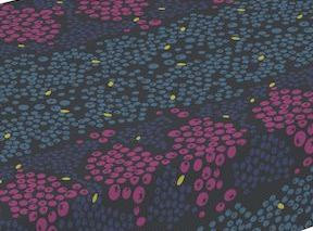 il_fullxfull.676806976_d8ap