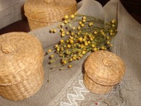 il_570xN.589728670_edit