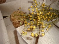 il_570xN.589733410_9f9s