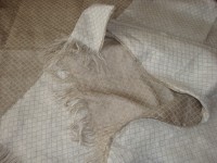 il_570xN.601082781_r364