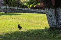 il_fullxfull.342858331