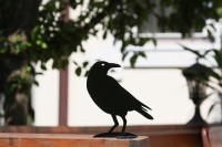 il_fullxfull.342977818