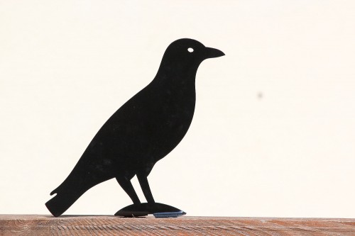 il_fullxfull.343575364