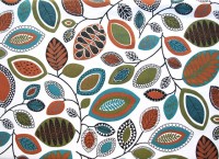 ??????????????????????