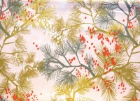 ??????????????????????