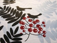 ??????????????????????