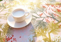 ??????????????????????