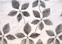 ??????????????????????