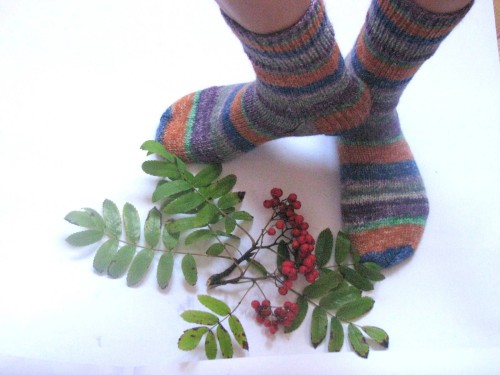 il_fullxfull.649918086_csyu