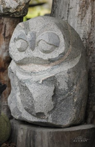 owl